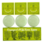 Hand soap, Wild Fern, 3 x 75 gr.