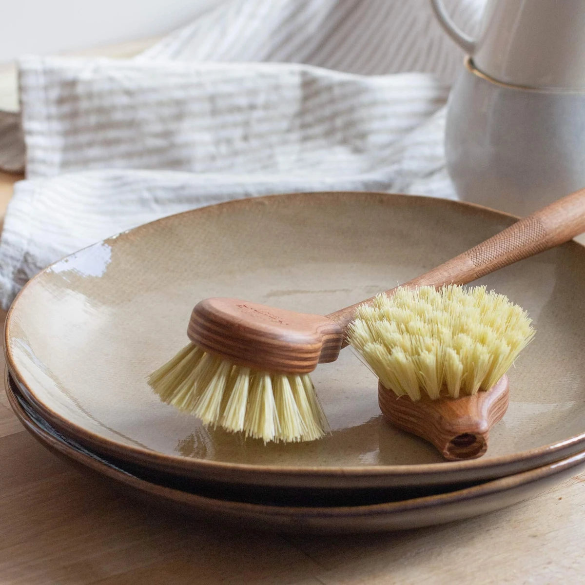 Replacement head for Dishwashing brush