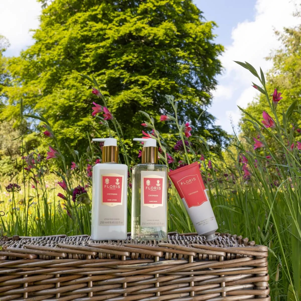 Chypress, Hand lotion, 250 ml.