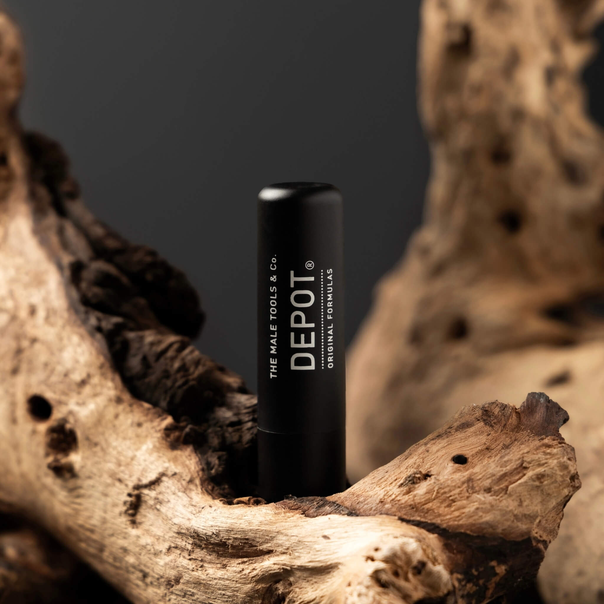 Moisturizing Lip Balm, No. 810, 4.7 g.