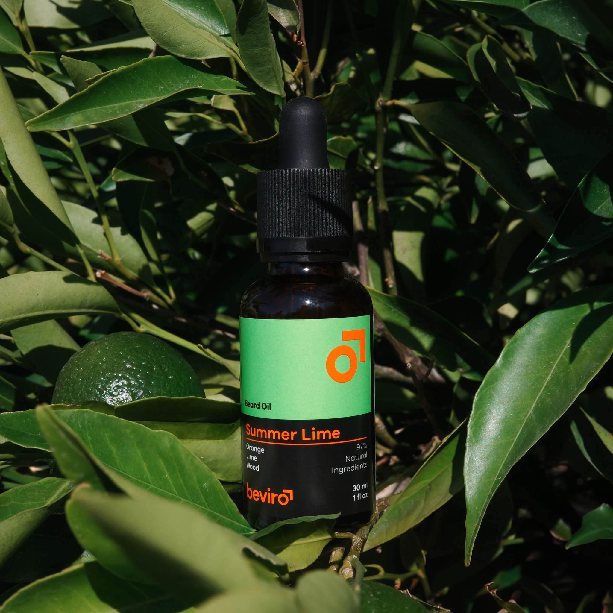 Beard Oil, Summer Lime, 30 ml.