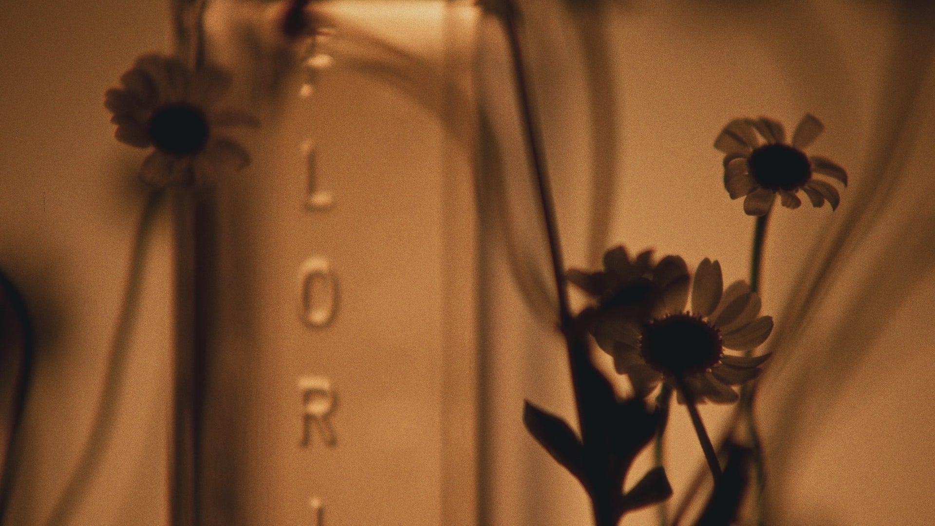 Load video: Celest, Eau de Parfum, 100 ml.